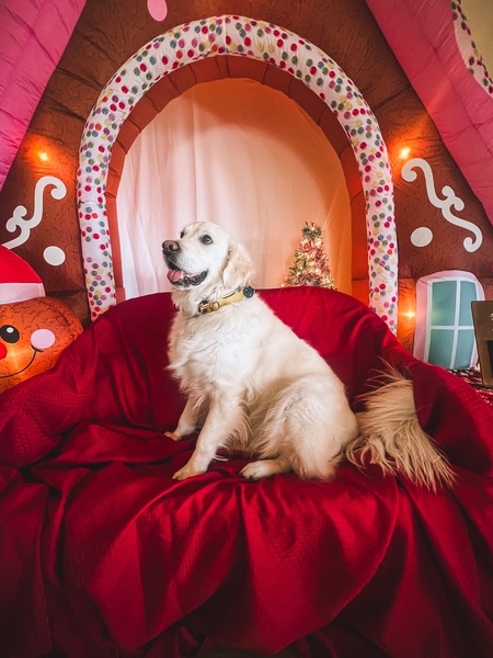 Entry image for Max. Clicking this image will show a larger photo