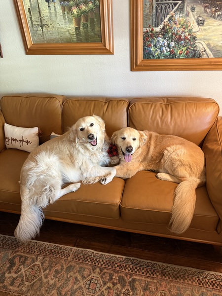 Entry image for Elsie & Bernie . Clicking this image will show a larger photo