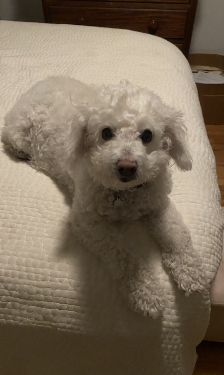 Entry image for Bibiana ready for bed!. Clicking this image will show a larger photo