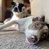 Entry image for Lola and Waldo