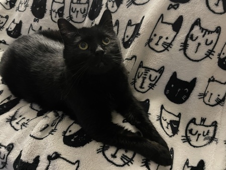Binx