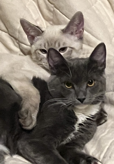 Lily and Avery 