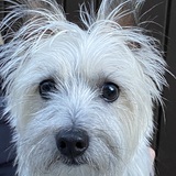 Entry image for Zipper