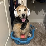 Entry image for Betty Russell