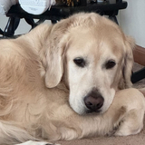 Entry image for Jonah