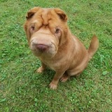 Entry image for Jimmy