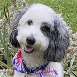 Entry image for Jack