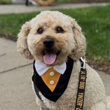 Entry image for Clancy