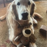 Entry image for Milo