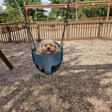 Entry image for Alberta Jean