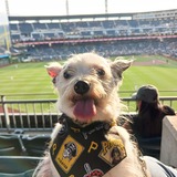 Entry image for Tinker