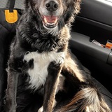 Entry image for Legend