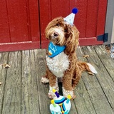 Entry image for Maui