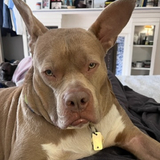 Entry image for Grindy