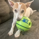 Entry image for Roxy