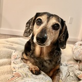 Entry image for Winnie