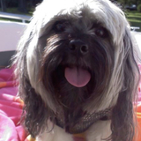 Entry image for Duke