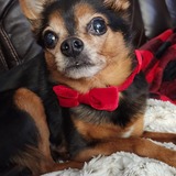 Entry image for Beowulf 