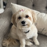 Entry image for Chloe