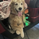 Entry image for Betty 