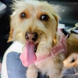 Entry image for Fiona 