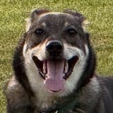 Entry image for Cooper