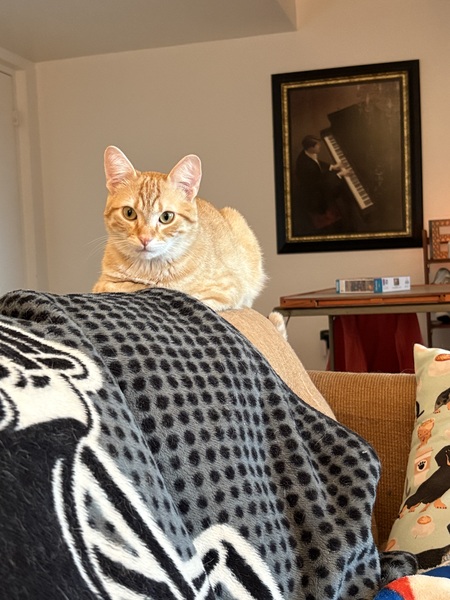 Julian 