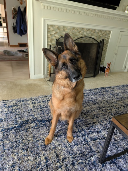 Liesl