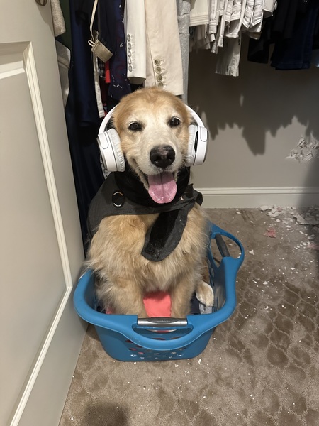 Entry image for Betty Russell. Clicking this image will show a larger photo