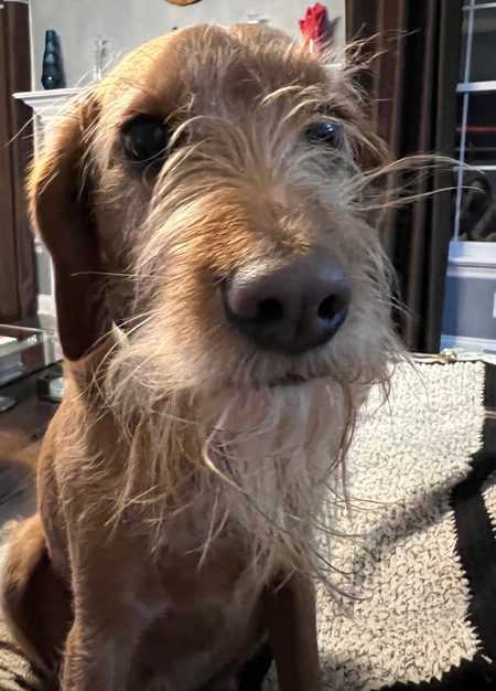 Kona