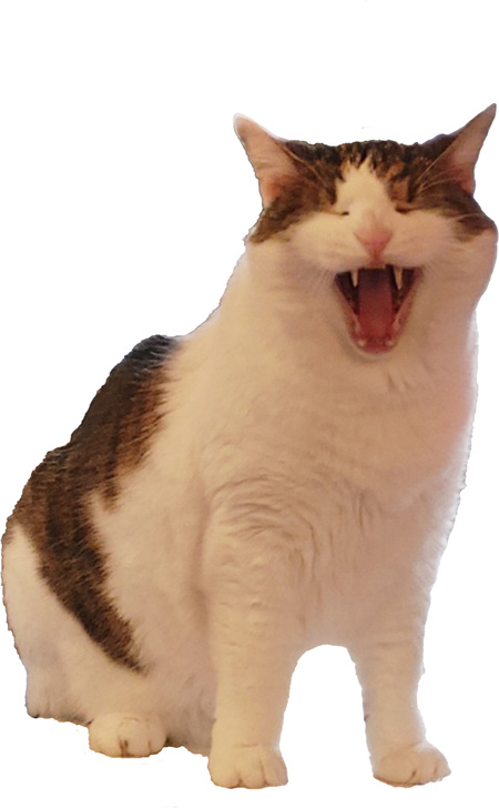 Marlowe