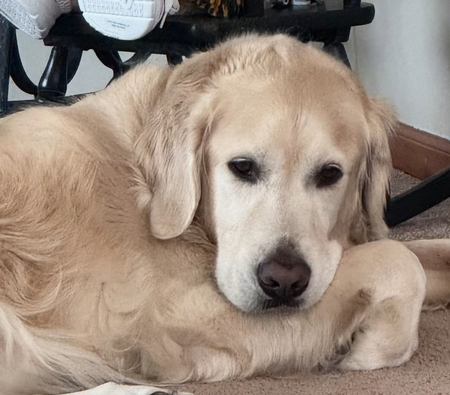 Entry image for Jonah. Clicking this image will show a larger photo