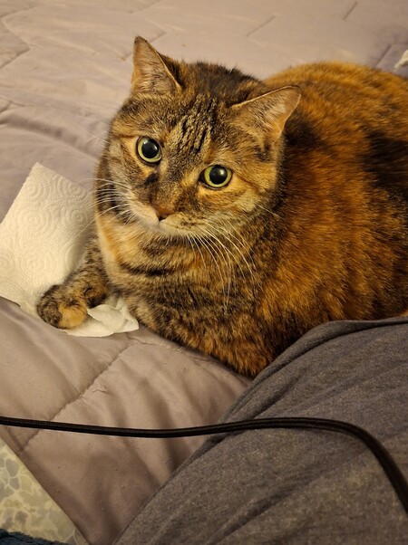 Entry image for Elinor. Clicking this image will show a larger photo