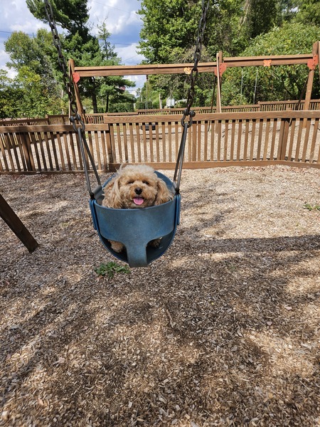 Entry image for Alberta Jean. Clicking this image will show a larger photo