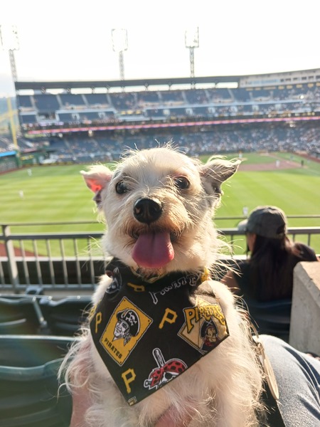 Entry image for Tinker. Clicking this image will show a larger photo