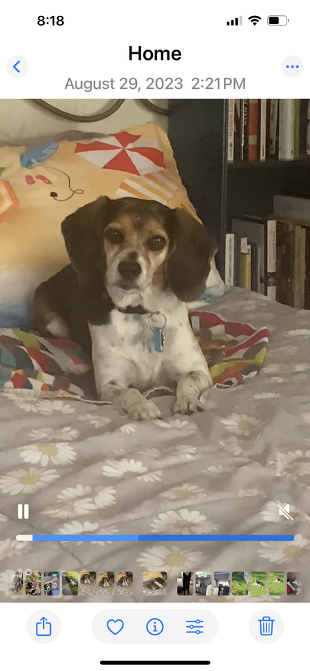 Entry image for Lady. Clicking this image will show a larger photo