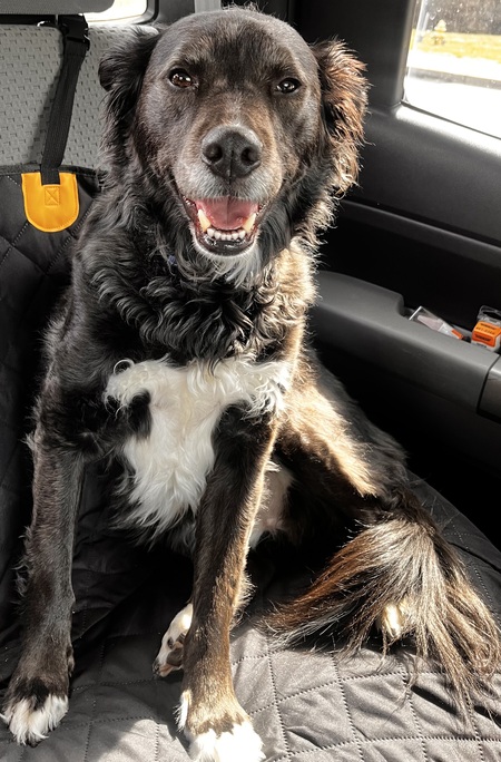 Entry image for Legend. Clicking this image will show a larger photo