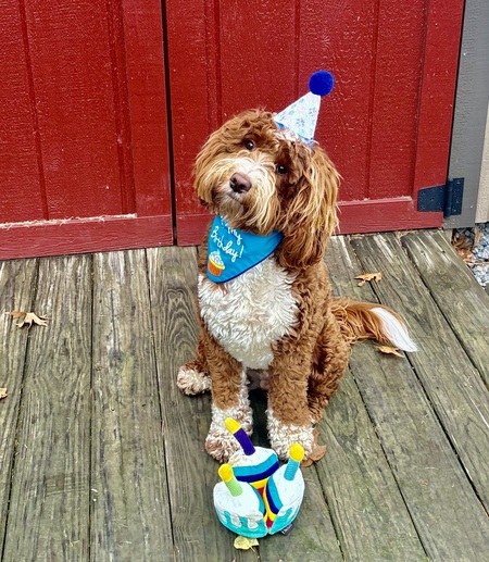 Entry image for Maui. Clicking this image will show a larger photo