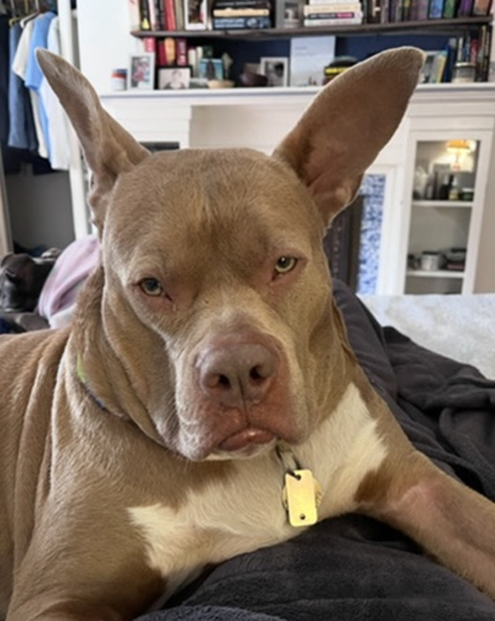 Entry image for Grindy. Clicking this image will show a larger photo