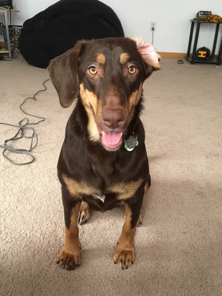 Entry image for Xena. Clicking this image will show a larger photo