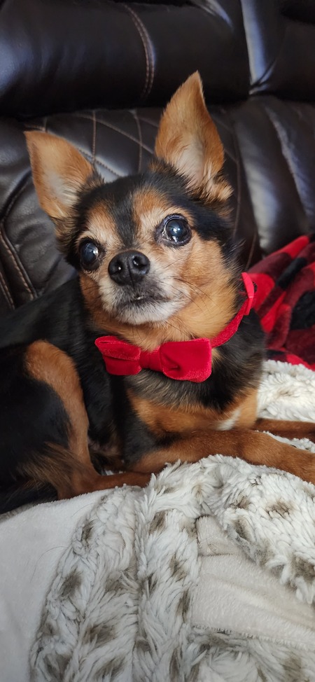 Entry image for Beowulf . Clicking this image will show a larger photo