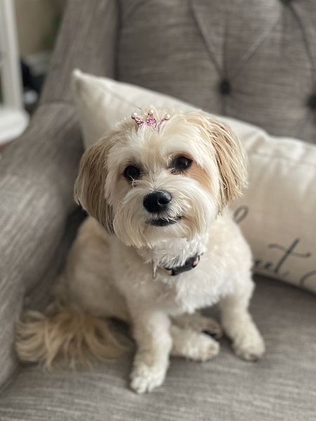 Entry image for Chloe. Clicking this image will show a larger photo