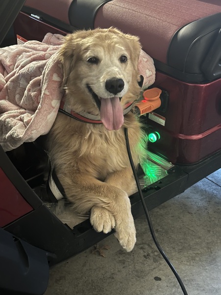 Entry image for Betty . Clicking this image will show a larger photo