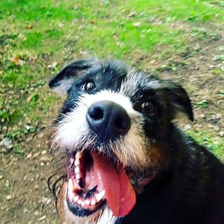 Entry image for Libby. Clicking this image will show a larger photo