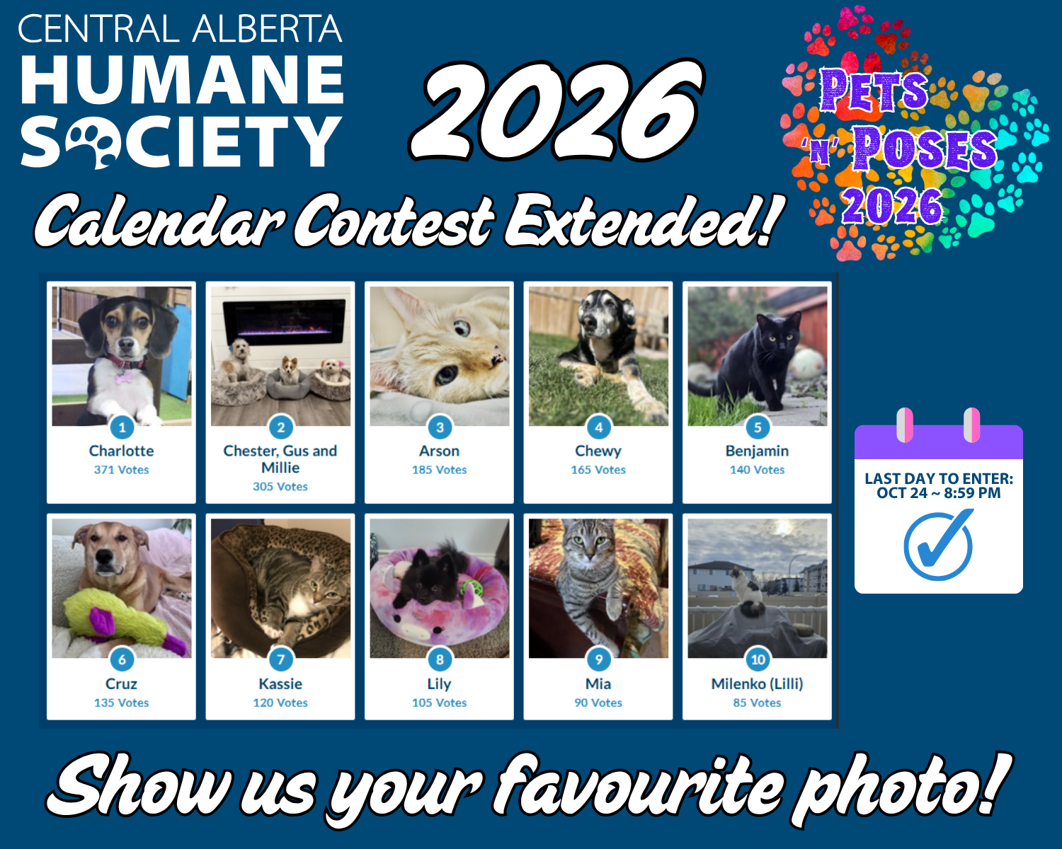 Banner for "Pets 'n' Poses"  Calendar Contest