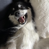 Entry image for Khloe