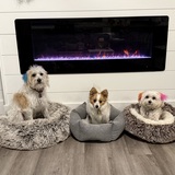 Entry image for Chester, Gus and Millie