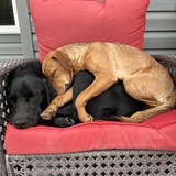 Entry image for Maggie & Cassi