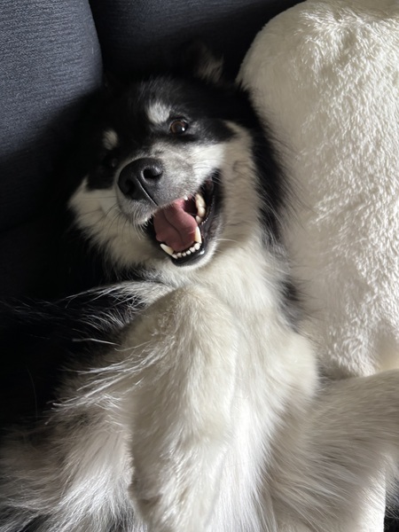 Entry image for Khloe. Clicking this image will show a larger photo