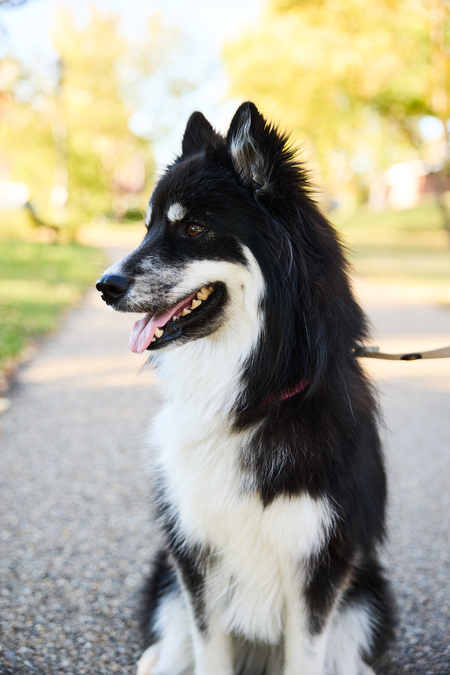 Entry image for Khloe. Clicking this image will show a larger photo